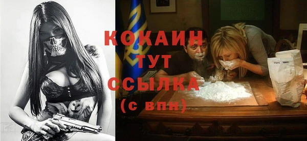 шишки Баксан
