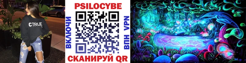 blacksprut как войти  Можга  Галлюциногенные грибы Psilocybe  закладки 